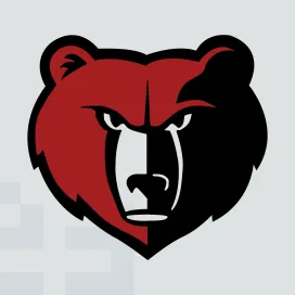 Memphis grizzlies 4